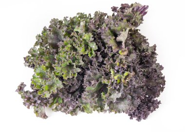 Beyaz arka planda izole edilmiş organik kırmızı yeşil lahana.