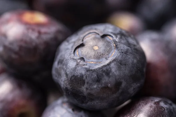 Köstliche Reife Bio Blaubeere Nahaufnahme Und Hintergrund — Stockfoto