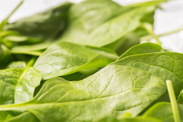 Close Organic Crispy Baby Spinach Leaves — Stock Photo, Image