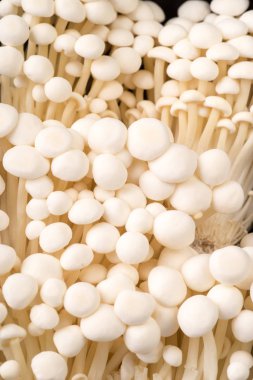 Organik Enoik mantar, kadar yakın ve arka plan