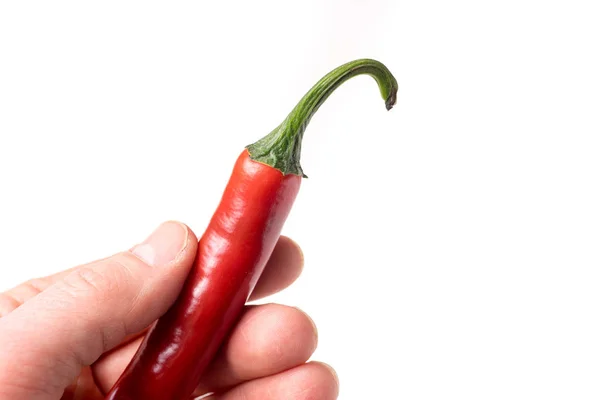Causasian hand holding chili pepper isolated with copyspace — Stock Photo, Image