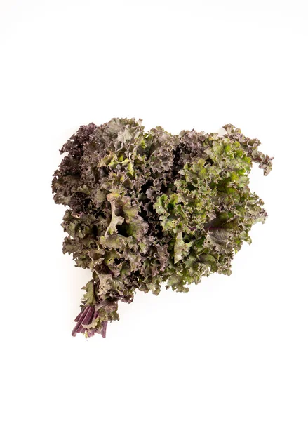 Bunch of Organic red green kale, with copyspace — Stock Photo, Image
