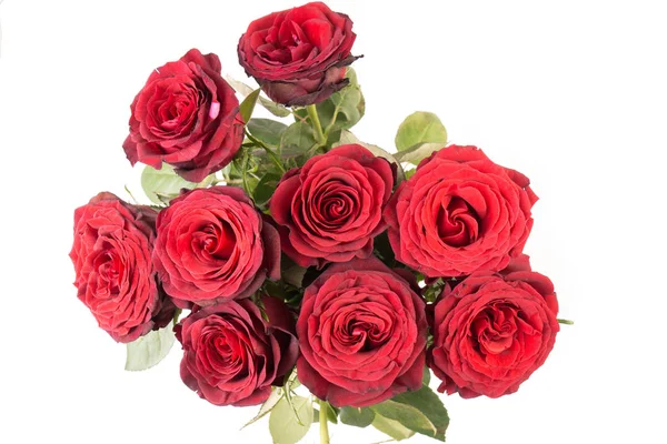 Primo piano di un mazzo di belle rose rosse scure — Foto Stock