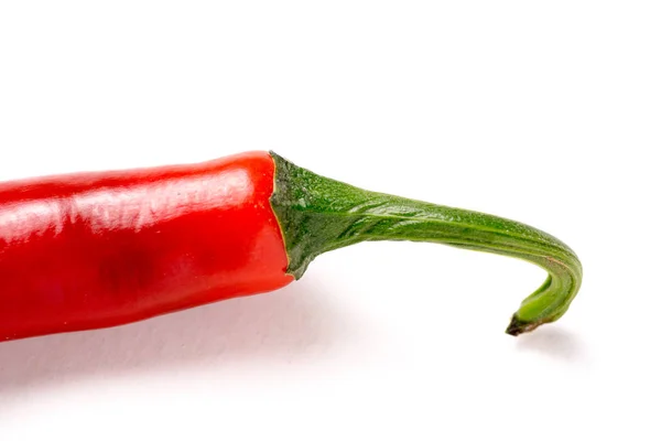 Hot chili pepper, isolated and with copyspace — Stock Photo, Image