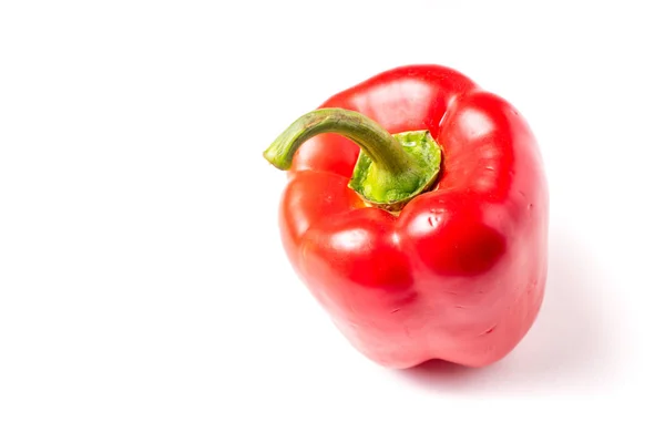 Tek bir Kırmızı organik snack biber, dolmalık biber — Stok fotoğraf