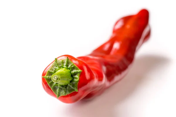 One single Red organic snack pepper, bellpepper — Stock Photo, Image