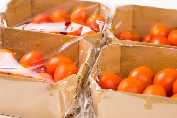 Rijpe cherry tomaten pakketten in vak en kunststof — Stockfoto