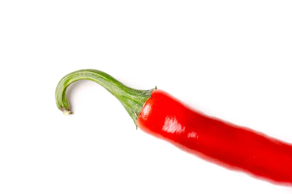 Hot chili pepper, isolated and with copyspace — Stock Photo, Image