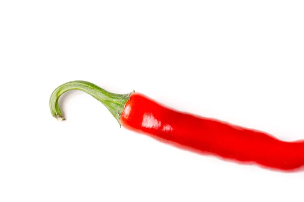Hot chili pepper, isolated and with copyspace — Stock Photo, Image