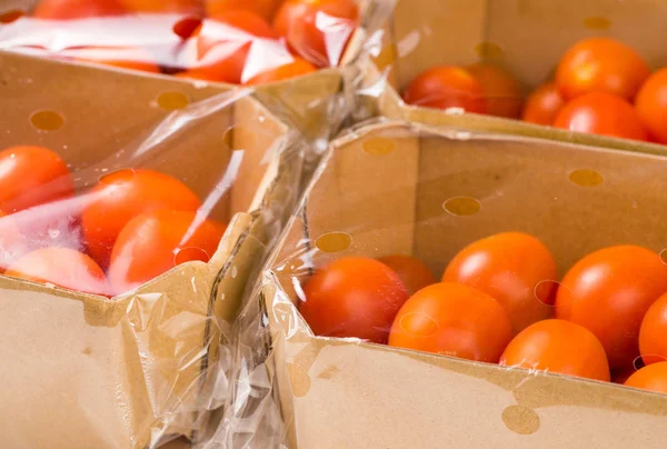 Reife Kirschtomaten in Schachtel und Kunststoff — Stockfoto