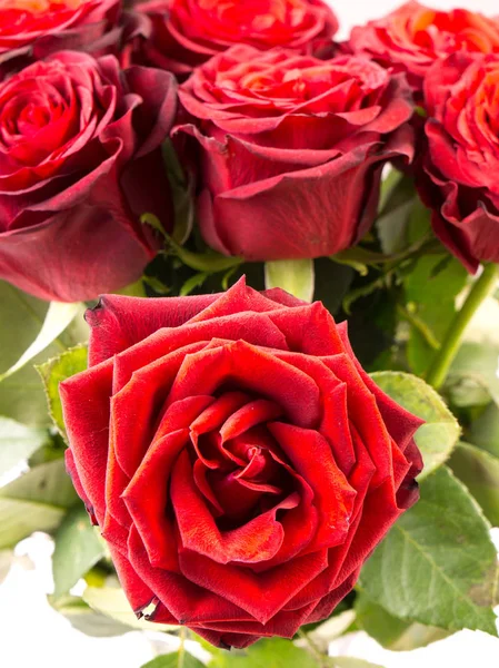 Nahaufnahme eines Straußes wunderschöner dunkelroter Rosen — Stockfoto