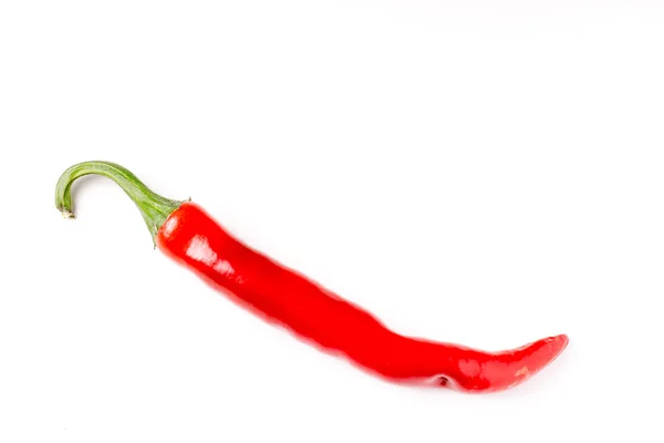 Hot chili pepper isolated and with copyspace — Stock Photo, Image