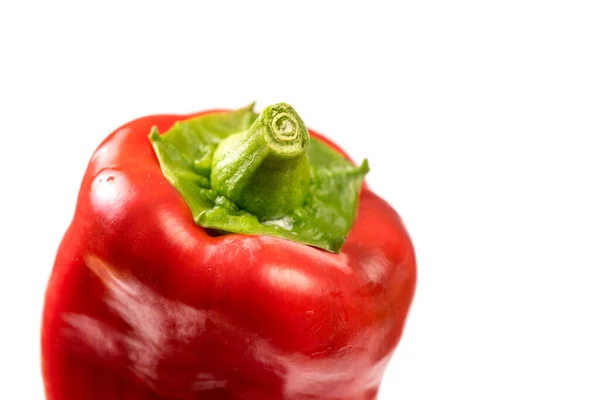 Röda ekologiska mellanmål peppar, bellpepper med copyspace Stockbild
