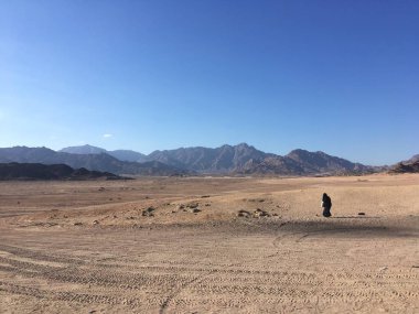 Mısır çölünde Safari