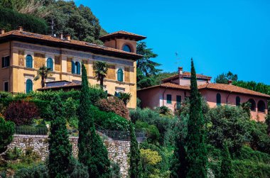 Yamaçta ağaçlar ve yeşil çalılarla çevrili güzel ve eski evler. Evlerin üstündeki mavi ve temiz gökyüzü. Evlerin önündeki taş duvar.