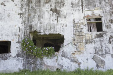 Eski beton arka plan materyali