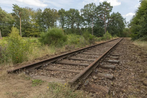 Eski Demiryolu Hattı Borkense Sahası Winterswijk Belediyesinde Alman Sınırına Yakın — Stok fotoğraf