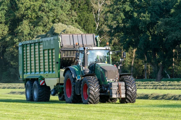 Zelený Traktor Vyzvednutí Sekané Trávy Zeleným Nakladačem Létě Nizozemsku — Stock fotografie