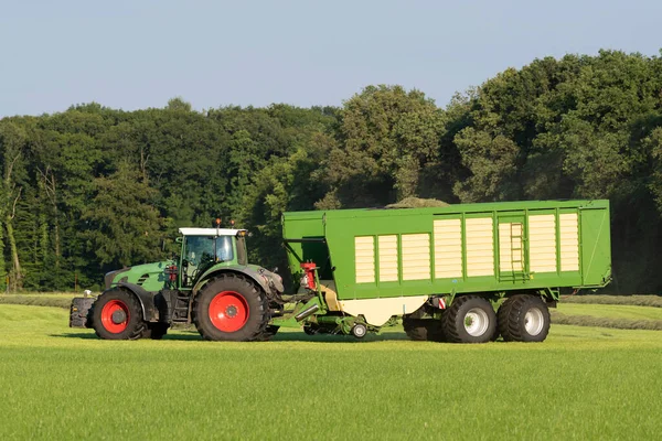 Grüner Traktor Sammelt Gemähtes Gras Mit Grünem Ladewagen Sommer Den Stockfoto