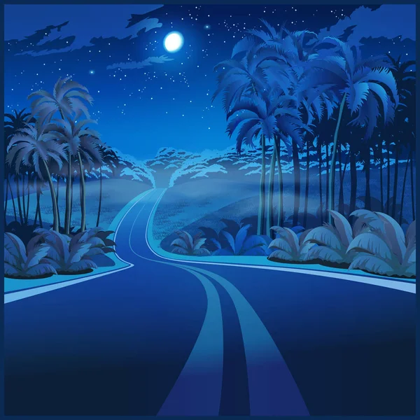 Stilisierte Vektorillustration Einer Straße Durch Den Dschungel Bei Nacht — Stockvektor