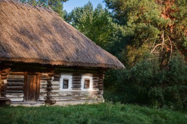 Eski Ukrayna konut günlükleri bir thatched çatı ile yapılmış bir ahşap evim