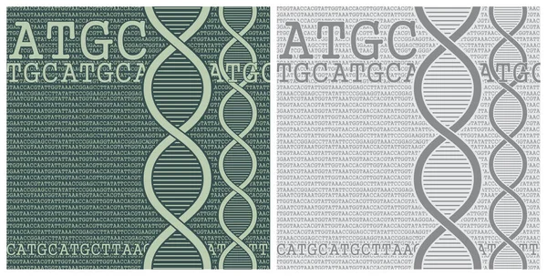 Double Helix of DNA and Nucleic Bases background — Stock Vector