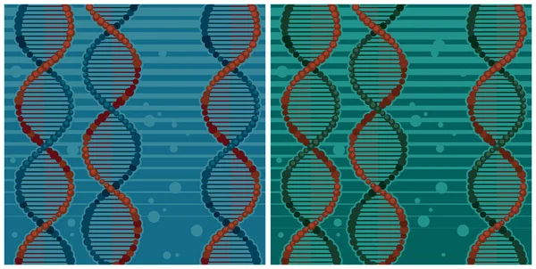 Dupla hélice de ilustrações de DNA — Vetor de Stock