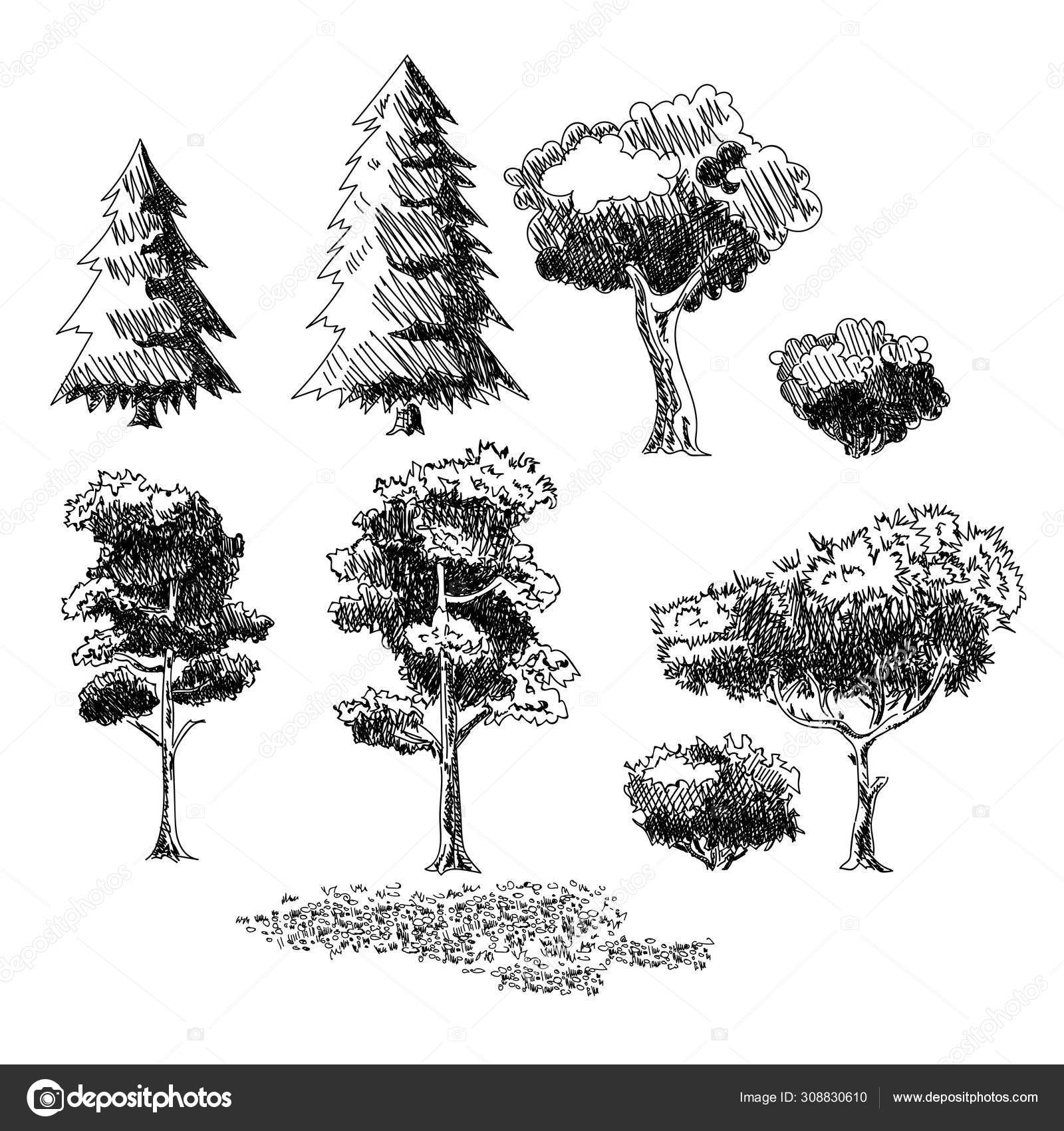 Green Leaves, Plant on the Ground Shrubs. Color Illustration on Farming,  Growing of Plants Stock Illustration - Illustration of drawing, farm:  148313590