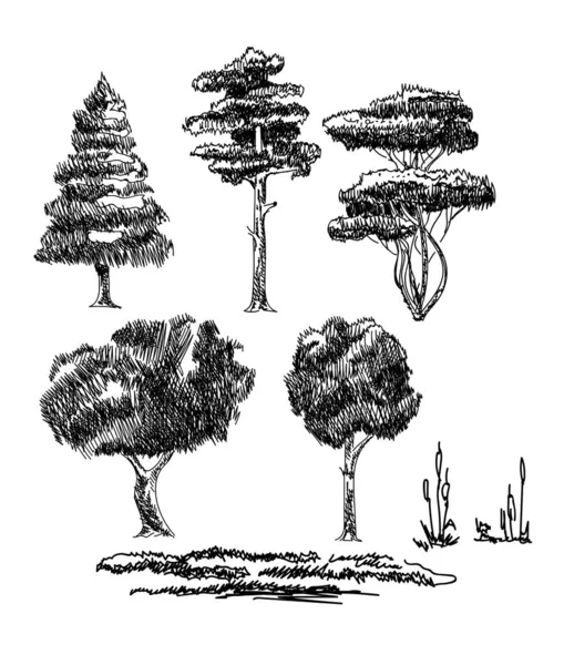 Эскиз растений — стоковый вектор