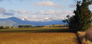 Manzara: arka planda ağaçlar ve dağlar olan bir alan