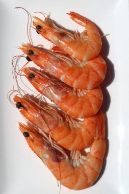 Tabakta taze pişmiş karides.