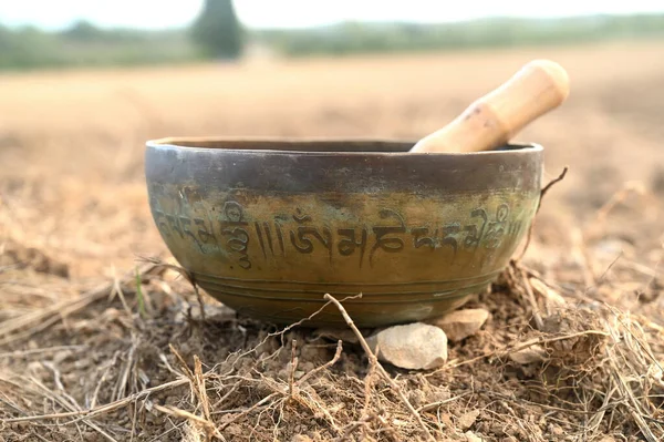 A tibetan singing bowl in a natural environment.