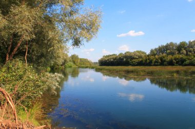 Sakmara Nehri, Ural Nehri 'nin kollarından biri.