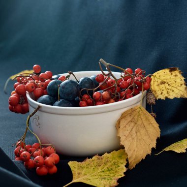 Rowan, bir kase erik ve sonbahar yaprakları