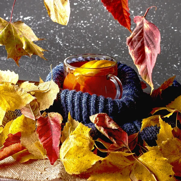 Tee Pullover Herbst Blätter Auf Grauem Hintergrund — Stockfoto