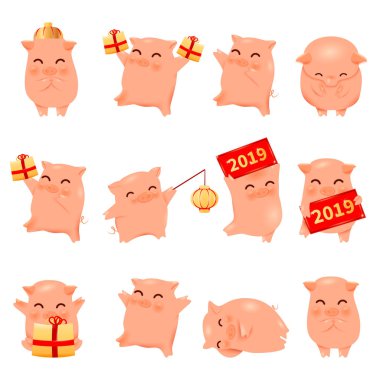 Domuz çizgi film karakterleri geleneksel oryantal Çince Zodyak domuz 2019 yılı ayarlayın. Çin fenerler, mutlu komik Asya maskot karakter domuz yavruları ile hediye kutuları, afiş, illüstrasyon vektör