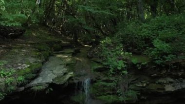 Batı Kafkasya. Kamennomostky köyündeki Khadzhokh nehrinin şelalesi ve yatağı.