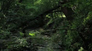 Batı Kafkasya. Kamennomostky köyündeki Khadzhokh nehrinin şelalesi ve yatağı.