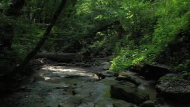 Batı Kafkasya. Kamennomostky köyündeki Khadzhokh nehrinin şelalesi ve yatağı.