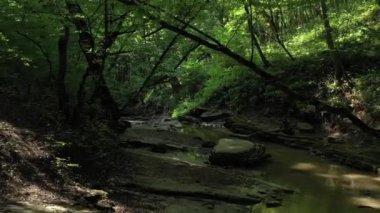 Batı Kafkasya. Kamennomostky köyündeki Khadzhokh nehrinin şelalesi ve yatağı.