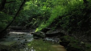 Batı Kafkasya. Kamennomostky köyündeki Khadzhokh nehrinin şelalesi ve yatağı.