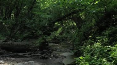 Batı Kafkasya. Kamennomostky köyündeki Khadzhokh nehrinin şelalesi ve yatağı.