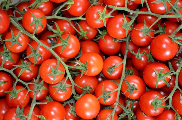 Tomates Rojos Redondos Utilizados Como Alimento Los Hogares — Foto de Stock