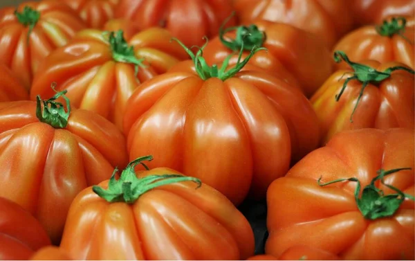 Tomates Rojos Redondos Utilizados Como Alimento Los Hogares — Foto de Stock