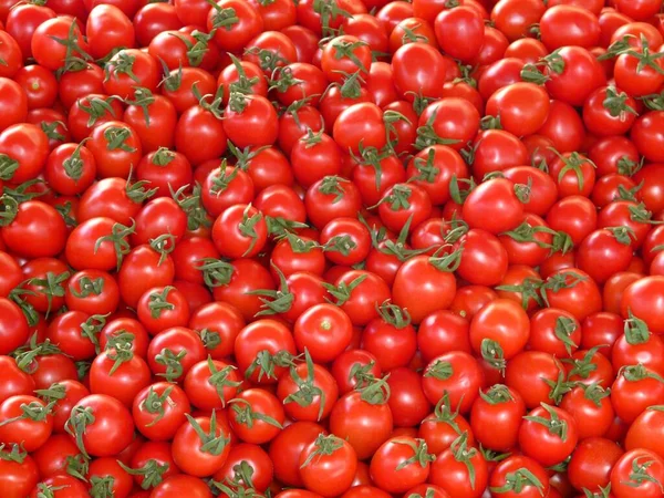 Tomaten Rood Rond Gebruikt Als Voedsel Huizen — Stockfoto