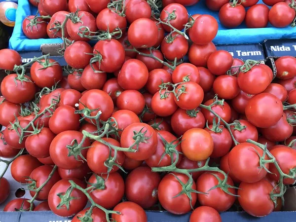 Tomates Rojos Redondos Utilizados Como Alimento Los Hogares — Foto de Stock