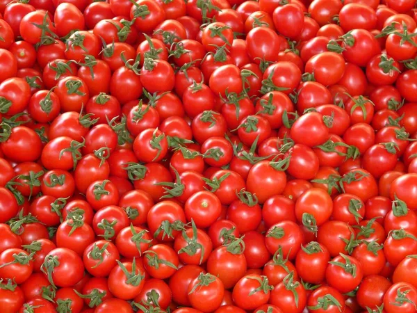 Tomater Røde Runde Bruges Som Mad Hjemmet Royaltyfrie stock-billeder