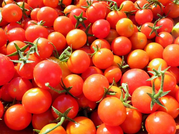 Tomater Röd Och Rund Som Används Som Livsmedel Hemmet — Stockfoto