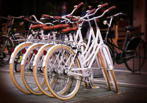 Fahrrad Ein Zweirad — Stockfoto