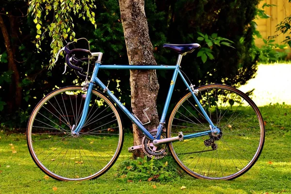 Fahrrad Ein Zweirad — Stockfoto